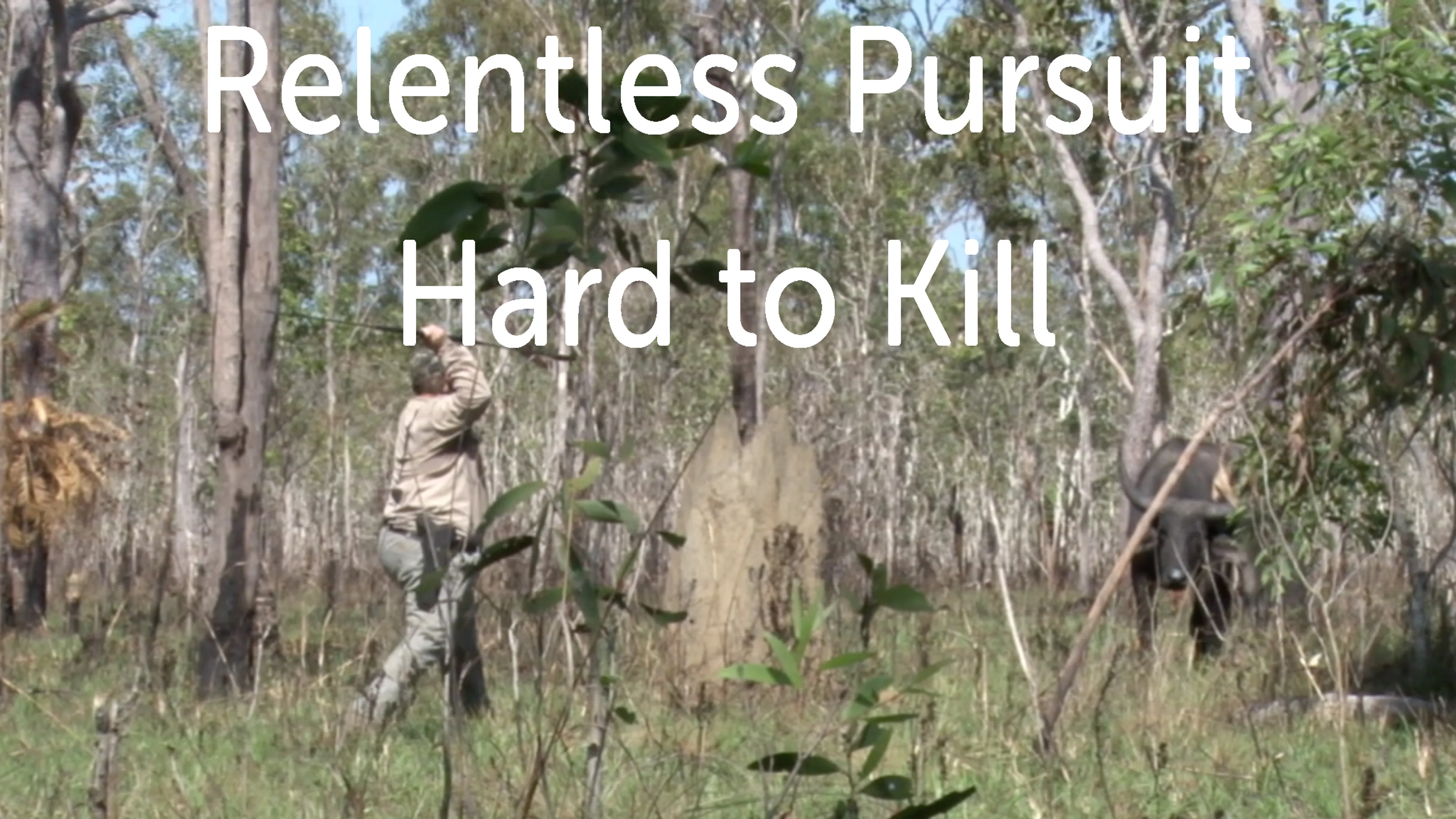 Hard To Kill poster